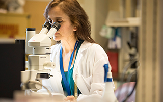 Dr. Catherine Tsilfidis looks through a microscope